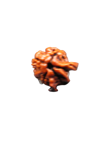 100% Natural 5 Mukhi Chatur Medha Real Ganesh Rudraksha Bead - Lab Certified (NEPAL) (RU4ME5048)